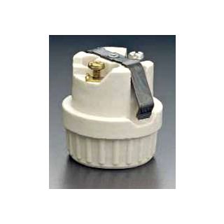 Incandescent Lampholder