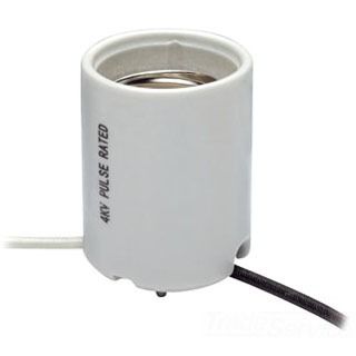 Incandescent Lampholder